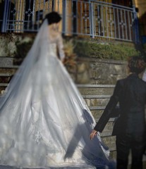 ドレスに踊る影法師　DSC06357.