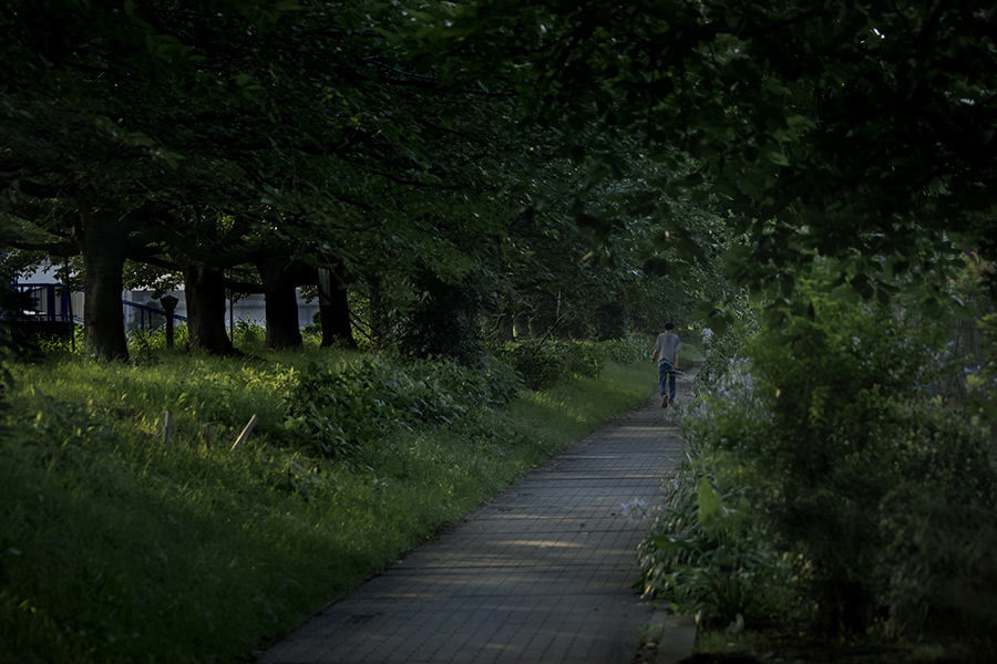 DSC04386. 早朝爽快散歩道