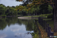 DSC05971 市立公園で見つけた秋模様  