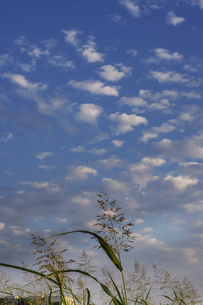 DSC00407 空に秋模様