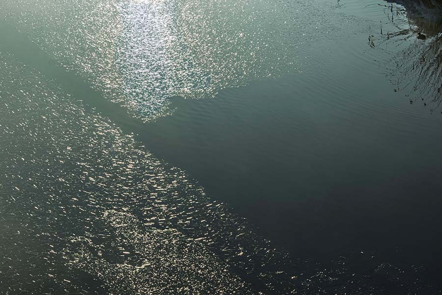 DSC02050  Glitter drift ice in my town.