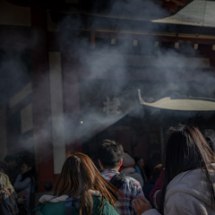 DSC00009 紫の雲と光る葡萄茶(えびちやいろ)の髪