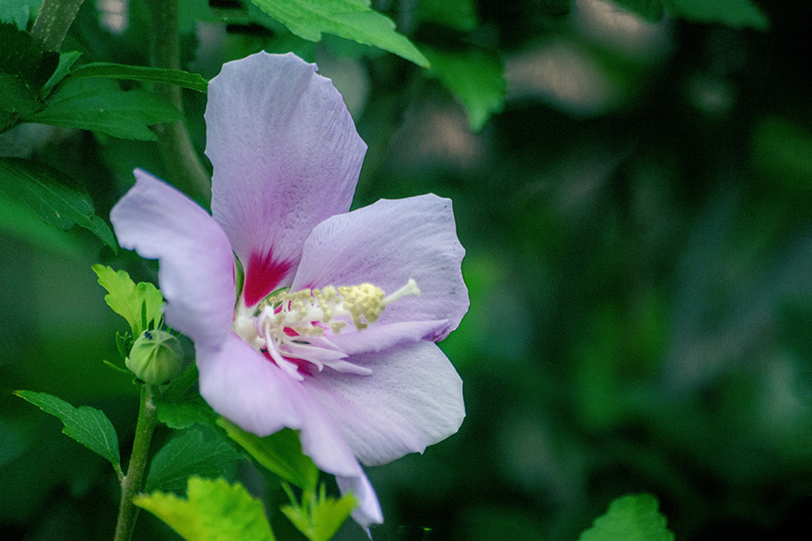 DSC02329. 一人暮らし？
