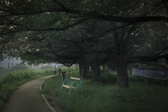 DSC04335.森林浴の散策路