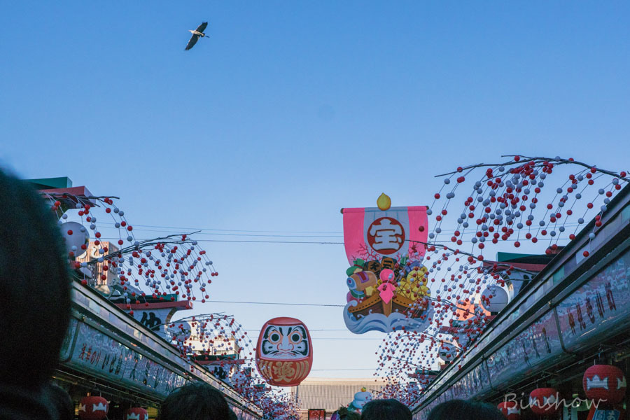 DSC05143-仲見世の空に鳥