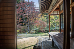 DSC08889. 御用邸秋もよう