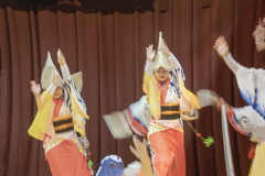 DSC00463. 冬の阿波踊り