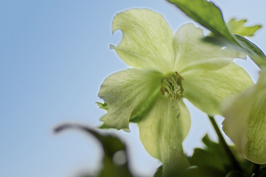 DSC06359-1 晴れて来たよ