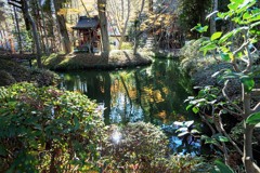 晩秋の池もよう　DSC03070