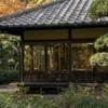 DSC06275. 関口芭蕉庵の和室