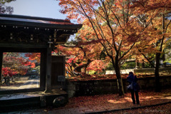 DSC04902-紅葉27番