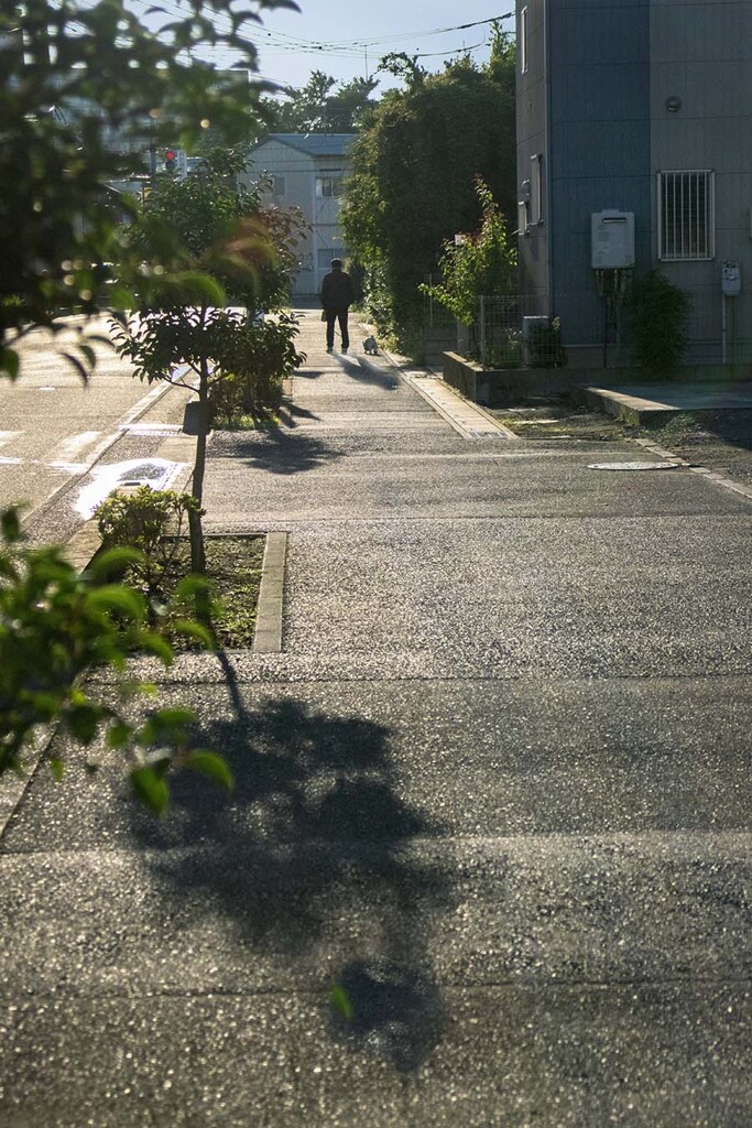 DSC08981. これから秋です
