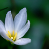 DSC02000. 幽玄