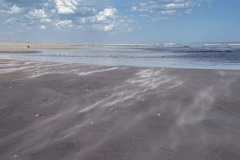 DSC08758.  2025.10.26. 海に還る白砂達 DSC08758.  2025.10.26. 海に還る白砂達