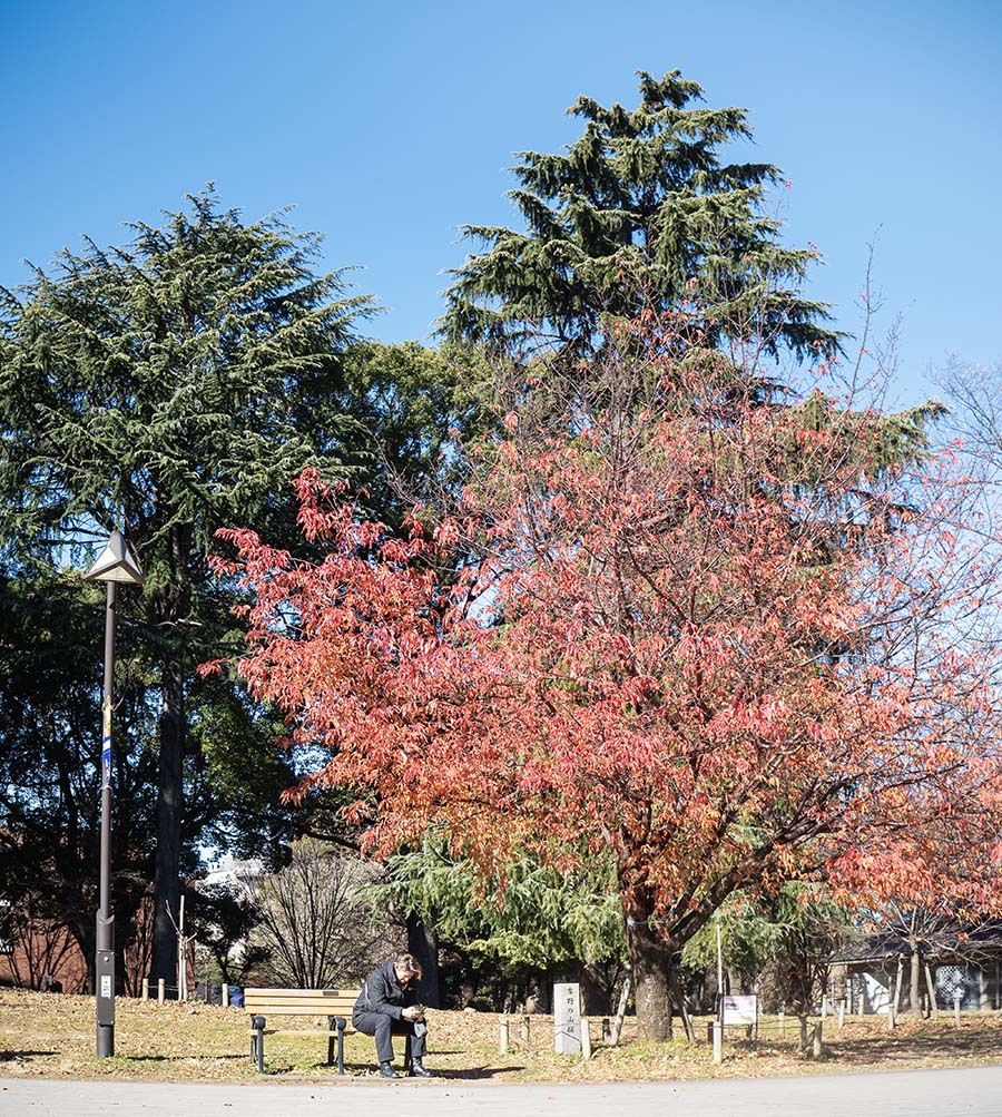 DSC09882. 紅葉との惜別