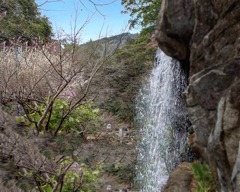 DSC04112  梅園の滝
