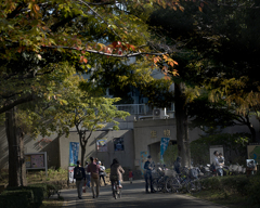 公園の秋は往く