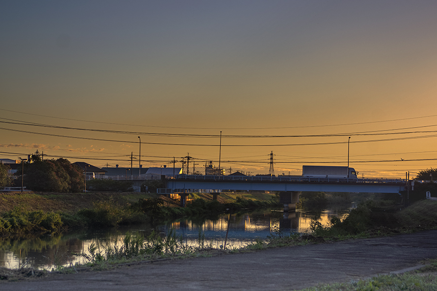 DSC03391. 秋の朝の散歩道.