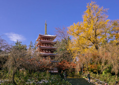 DSC04789-紅葉29番