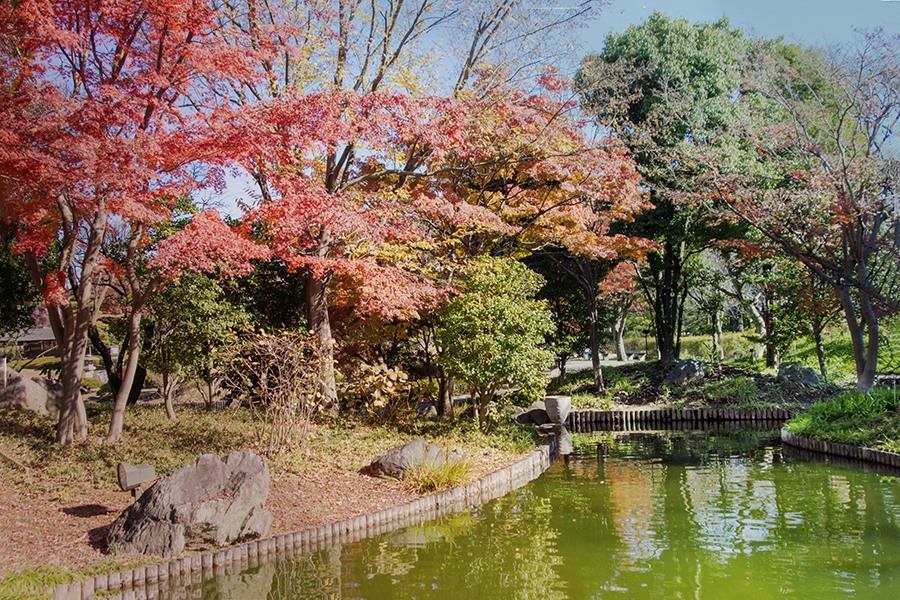 往く秋　DSC00696