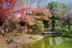 往く秋　DSC00696