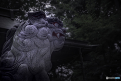 DSC09057テロ 戦争、核兵器、成らぬものは成らぬ