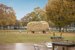 マンモスに逢えるテラス席　DSC03000