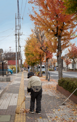 秋を愛でる人 DSC02990
