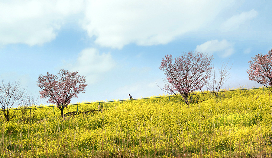 DSC00877.丘の上の雲.