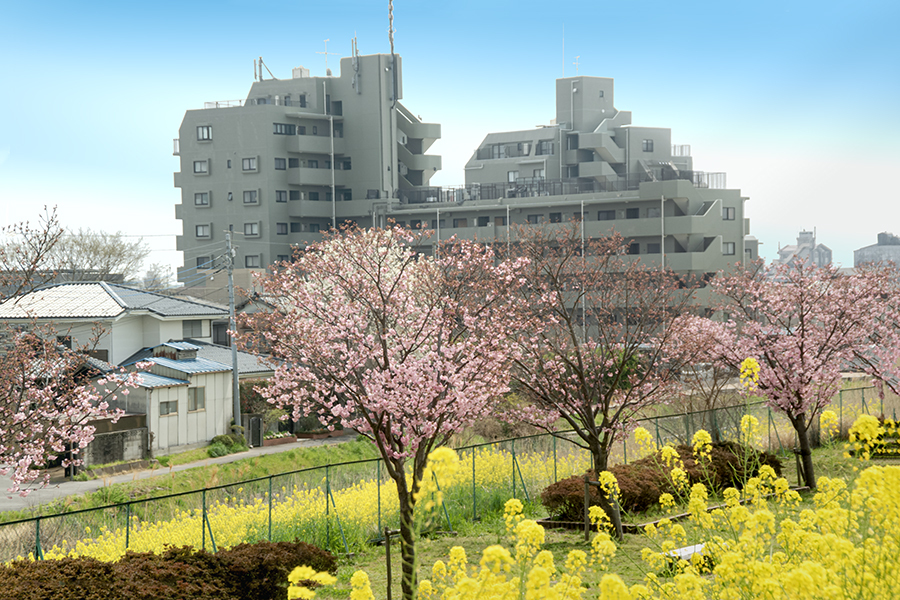 DSC00883. 春は恵む