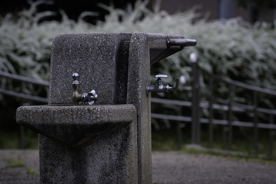 水飲み場と雪柳　