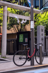 神様!自転車見てて