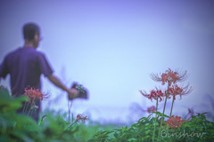 DSC02197-花と小父さん-3