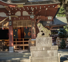 狛犬吠えゆ　DSC02938