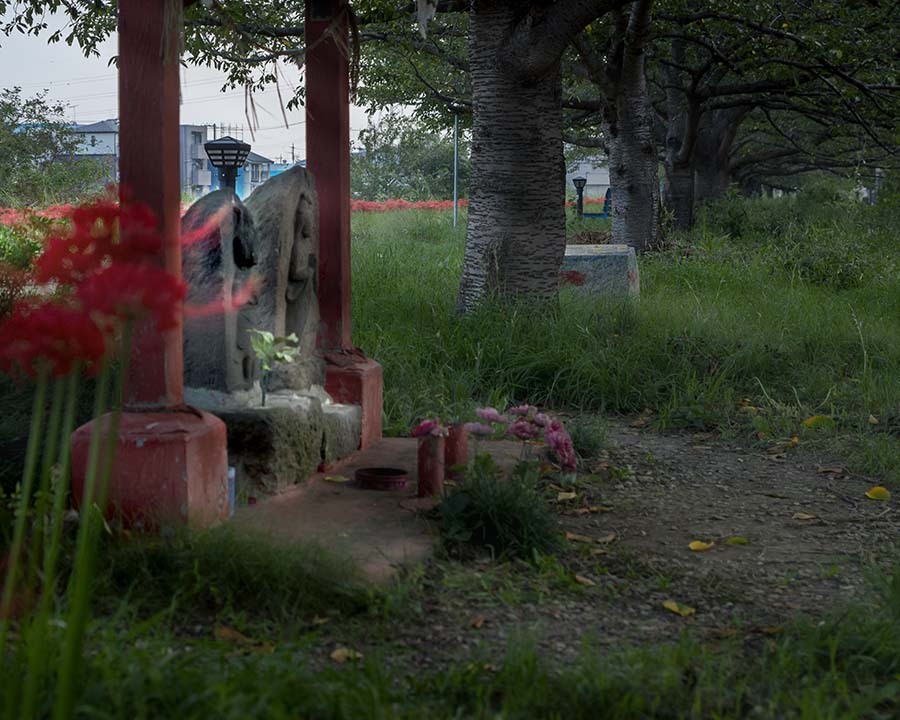 DSC05483. 彼岸花と馬頭観音様