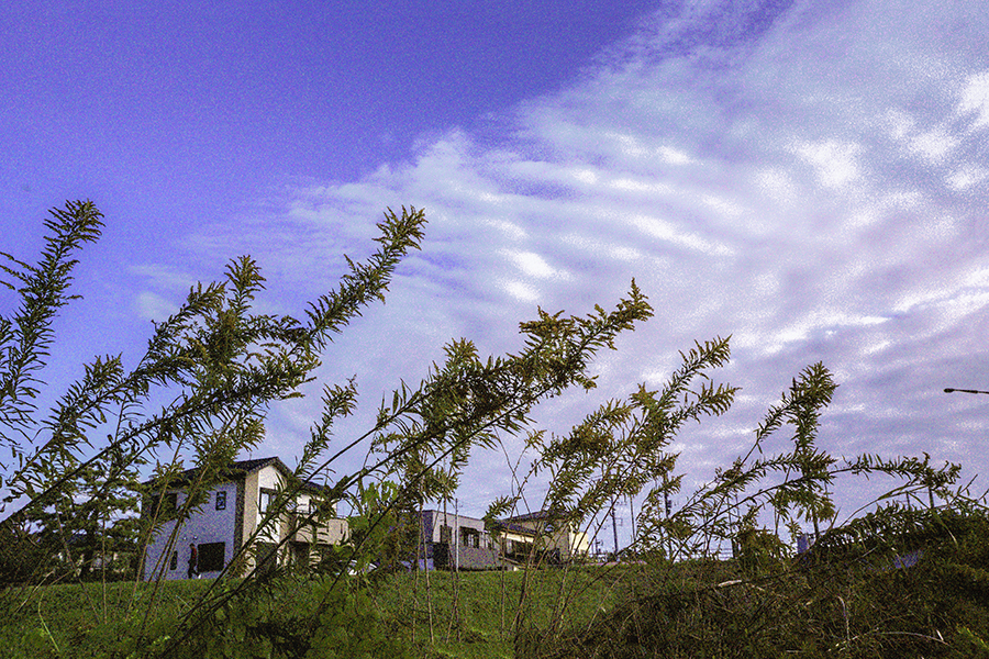 河川敷は秋の劇場  DSC04212 