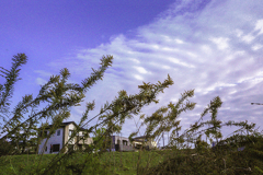 河川敷は秋の劇場  DSC04212 