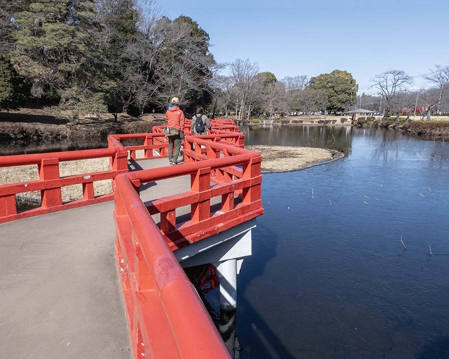 城址公園散策　P1060181
