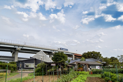 DSC02782. 秋の空の妙