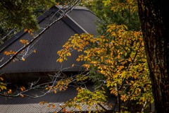 DSC00323 屋根と紅葉