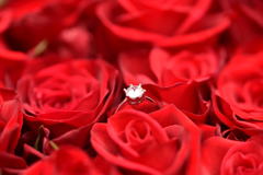108本の薔薇と……