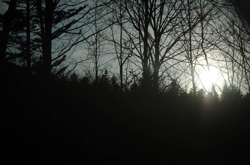 IMGP0960