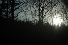 IMGP0960
