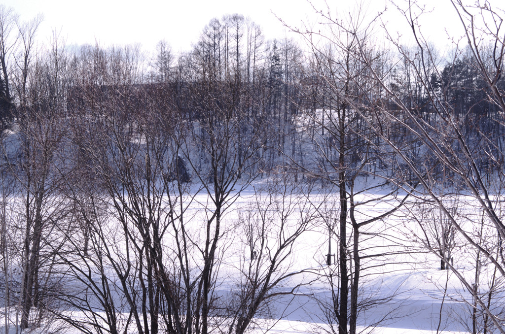 IMGP0133