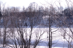 IMGP0133
