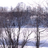 IMGP0133