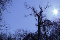 IMGP0516