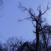 IMGP0516