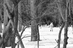 IMGP0766