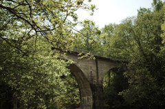 IMGP1478